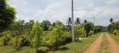 Image of 6000 Sq.ft Residential Plot / Land for sale in Gollahalli, Bengaluru for Rs. 4800000