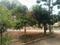 Vayupuri Plot View 2