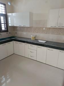 Kitchen Image of 1600 Sq.ft 3 BHK Builder Floor for rent in Sector 34 Chandigarh for Rs. 46500