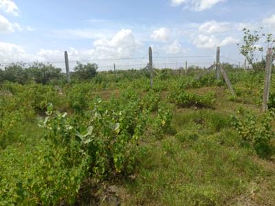 Image of 1000 Sq.ft Residential Plot / Land for sale in Lohegaon, Pune for Rs. 2500000