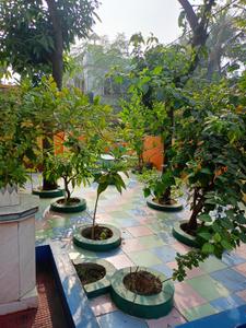 Image of 1440 Sq.ft 2 BHK Villa for sale in Sodepur, Kolkata for Rs. 4500000