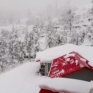 Image of 2700 Sq.ft Residential Plot / Land for sale in Mukteshwar, Nainital for Rs. 7500000