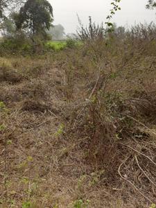 IIT patna Plot View 1
