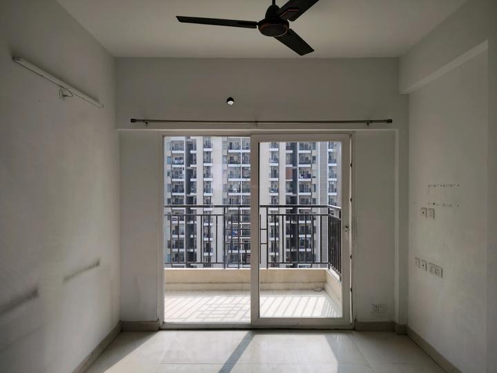 ACE Divino Main Image 1