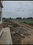 Devguradia Plot View 2