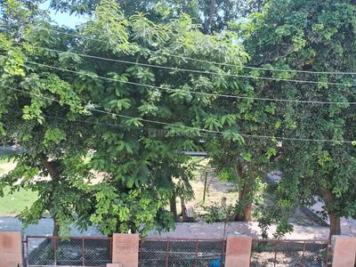 Image of 1050 Sq.ft 3 BHK Independent House for sale in Sector 45, Faridabad for Rs. 11000000