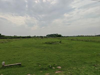 Image of 980 Sq.ft Residential Plot / Land for sale in Chengalpattu, Chennai for Rs. 1469030