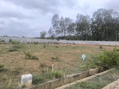 Image of 1800 Sq.ft Residential Plot / Land for sale in Hoskote, Bengaluru for Rs. 5130000