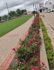 Image of 2323 Sq.ft 4 BHK Independent House for sale in Pioneer Green Avenue, Mowa, Raipur for Rs. 10200000