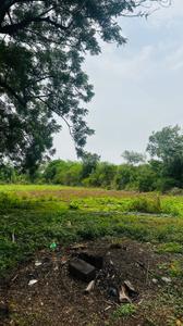 Image of 5000 Sq.ft Residential Plot / Land for sale in Kapasda, Durg for Rs. 2875000