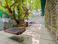 Image of GetSetHome-Andheri West  in Andheri West, Mumbai