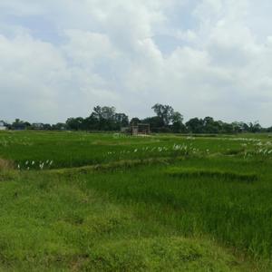 Image of 1000 Sq.ft Residential Plot / Land for sale in Faquiha Faii Residency, Kanke Road, Ranchi for Rs. 650000
