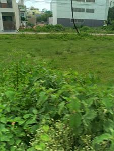 Image of 1200 Sq.ft Residential Plot / Land for sale in New Rani Bagh, Indore for Rs. 8800000