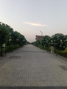 Image of 105 Sq.ft Residential Plot / Land for sale in Mansha Oaks, Sector 98, Faridabad for Rs. 14600000