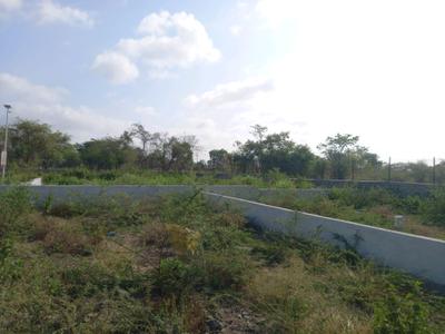Phase 3 Plot View 2