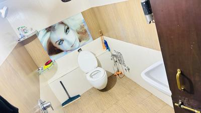 Bathroom Image of 945 Sq.ft 1 RK Builder Floor for rent in Indra Puri Colony Indore for Rs. 10500