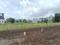 Wagholi Plot View 2