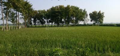 Image of 21600 Sq.ft Residential Plot / Land for sale in Galsi, Bardhaman for Rs. 200000