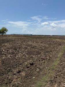 Image of 1089 Sq.ft Residential Plot / Land for sale in Invest Mahamumbai Plots In Ranjanpada, Ranjanpada, Navi Mumbai for Rs. 539000