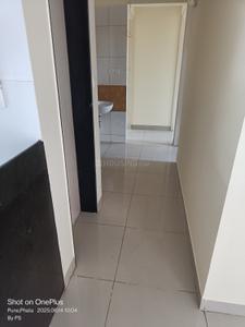 Kitchen Image of 1550 Sq.ft 3 BHK Apartment / Flat for rent in Nanded Pune for Rs. 30000
