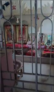 4.5 BHK Independent House
