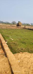 Image of 1300 Sq.ft Residential Plot / Land for sale in Satyabhamapur, Bhubaneswar for Rs. 2860000