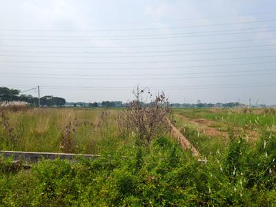 Image of 2000 Sq.ft Residential Plot / Land for sale in Argul, Bhubaneswar for Rs. 1600000