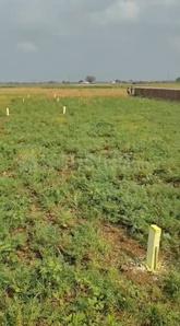 Nohsa Plot View 2