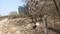 Marunji to shani mandir road  Plot View 2