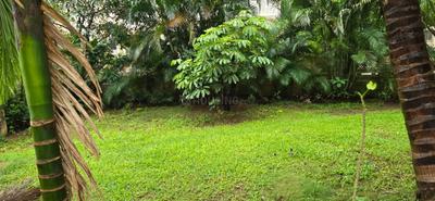 Image of 1850 Sq.ft 3 BHK Apartment / Flat for rent in Worli, Mumbai for Rs. 350000
