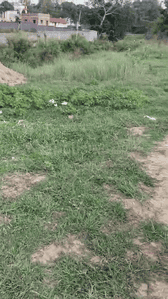 Image of 435 Sq.ft Residential Plot / Land for sale in Namkum, Ranchi for Rs. 1100000