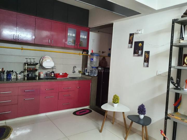 Gala Marigold Main Image 1