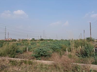 Sector 145 Plot View 2