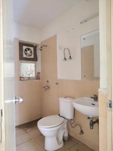 Common Bathroom Image of 1350 Sq.ft 3 BHK Apartment / Flat for rent in Jaypee Aman, Aurangabad Noida for Rs. 17500