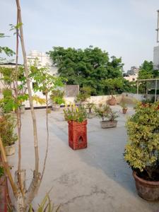 Image of 3500 Sq.ft 4 BHK Builder Floor for rent in Hauz Khas, New Delhi for Rs. 145000
