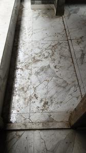 Image of 900 Sq.ft 2 BHK Apartment / Flat for sale in Keshtopur, Kolkata for Rs. 4700000