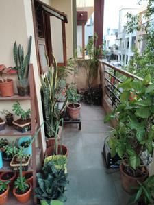 Balcony Image of 2400 Sq.ft 4 BHK Independent House for sale in Surya Dev Nagar Indore for Rs. 31000000