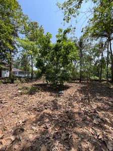 Image of 1250 Sq.ft Residential Plot / Land for sale in Mapusa, Goa for Rs. 44000000