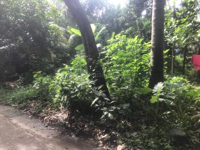 Image of 1080 Sq.ft Residential Plot / Land for sale in Madhyamgram, Kolkata for Rs. 3600000