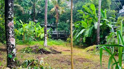 Image of 5880 Sq.ft Residential Plot / Land for sale in Viyyoor, Thrissur for Rs. 9585000