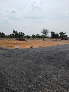 Image of 1000 Sq.ft Residential Plot / Land for sale in Piprali, Sikar for Rs. 1299000
