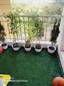 Balcony Image of 580 Sq.ft 1 BHK Apartment / Flat for sale in Tricon Sunshine Hills Phase 2, Pisoli Pune for Rs. 3000000
