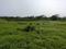 Sonargaon 2 Plot View 2