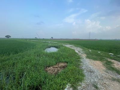 Image of 2000 Sq.ft 3 BHK Independent House for sale in Khagaul, Patna for Rs. 6500000