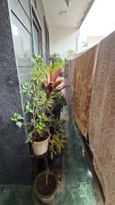 Balcony Image of 1440 Sq.ft 3 BHK Builder Floor for sale in Rajouri Garden New Delhi for Rs. 19900000