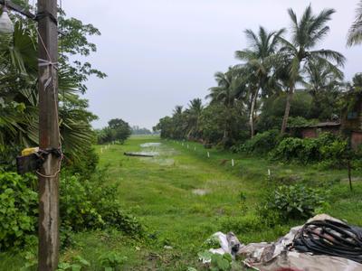 Golden city 2 plot project kolkata Plot View 2