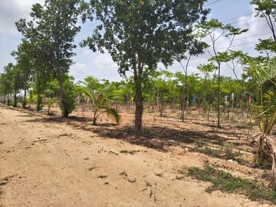 Image of 121 Sq.ft Residential Plot / Land for sale in Kolanupaka, Yadadri Bhuvanagiri for Rs. 665000