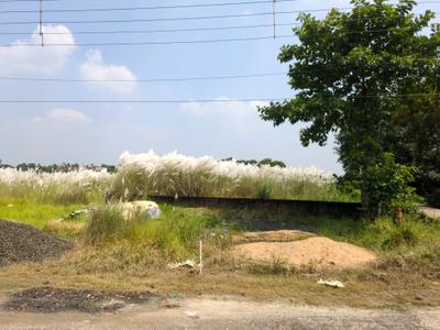 Image of 720 Sq.ft Residential Plot / Land for sale in Joka, Kolkata for Rs. 250000