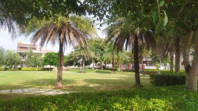 Image of 350 Sq.ft Residential Plot / Land for sale in DLF Hyde Park Plot, New Chandigarh, Chandigarh for Rs. 53000000