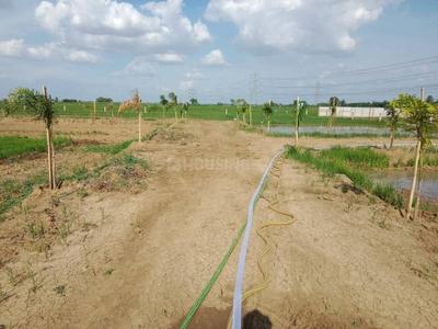 Image of 1000 Sq.ft Residential Plot / Land for sale in Naubatpur, Patna for Rs. 1399000